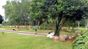 Ponen a disposición un profesional de asesoramiento de actividad física en el Parque de la Salud
