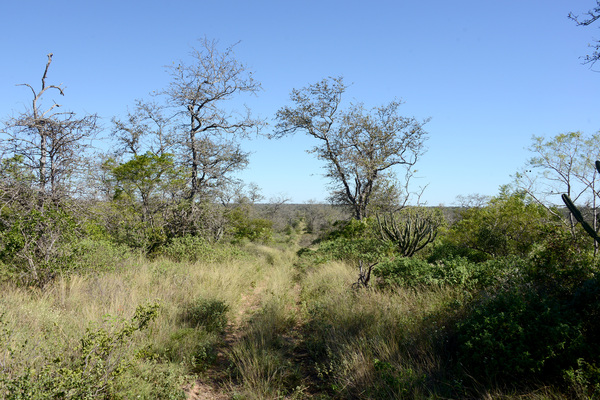 Buscan frenar el acecho a recursos naturales del Parque Nacional Médanos del Chaco