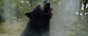 “Oso intoxicado”: mercadería de mala calidad - Reseñas - ABC Color