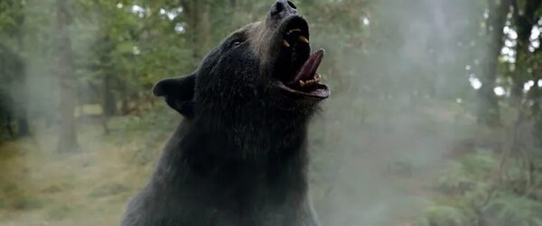 “Oso intoxicado”: mercadería de mala calidad - Reseñas - ABC Color