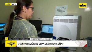 Video: ¿Hay mutación de la cepa del chikunguña? - ABC Noticias - ABC Color