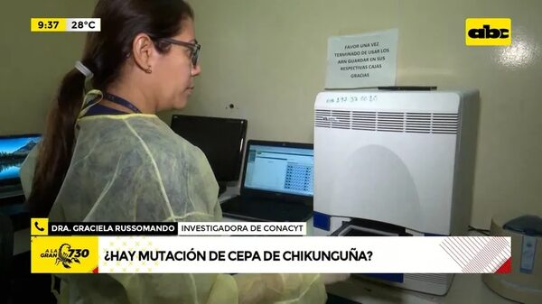 Video: ¿Hay mutación de la cepa del chikunguña? - ABC Noticias - ABC Color