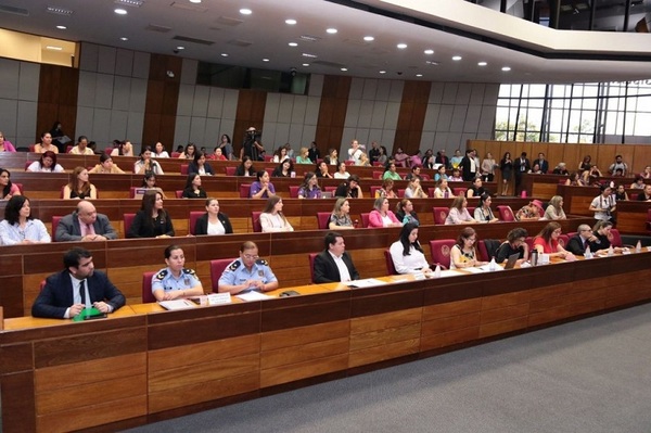 Debaten sobre «violencia de género» en Audiencia Pública en el Congreso