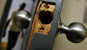 Detienen en Loma Pytá a sospechado de robo y abuso en domicilio | 1000 Noticias