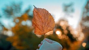 Equinoccio de otoño: ¿Cuál es su significado?