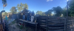 Recuperan animales, luego de constatar abigeato en Benjamín Aceval
