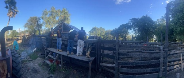 Recuperan animales, luego de constatar abigeato en Benjamín Aceval