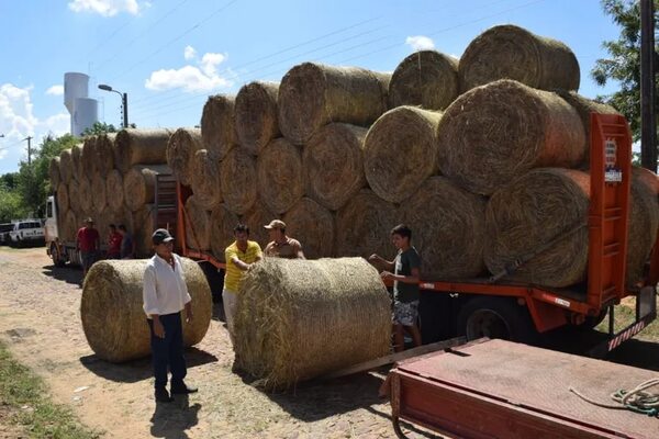 Asisten con forrajes a productores afectados por la sequía e inundaciones en Yabebyry - Nacionales - ABC Color