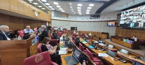 Senado trata proyecto de ley que busca extender el Pytyvõ 2.0  - Política - ABC Color