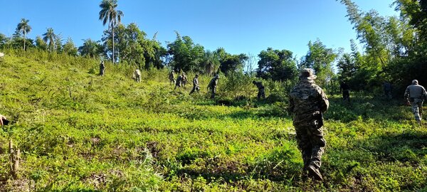 Inició el operativo Nueva Alianza XXXVI con la destrucción de 39 toneladas de marihuana - Radio Imperio