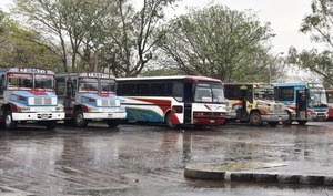 Buses del interior no pueden hacer reguladas, aclaran | 1000 Noticias