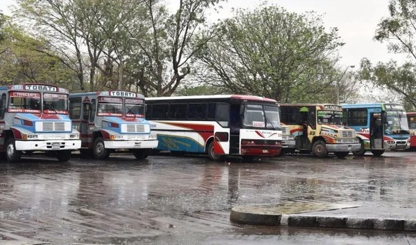 Buses del interior no pueden hacer reguladas, aclaran | 1000 Noticias