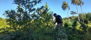 Diario HOY | Operación antidrogas comienza con fuerte golpe a los narcos