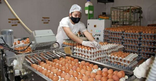 AVIPAR atribuye la suba de precios de huevos al encarecimiento de alimento de las aves