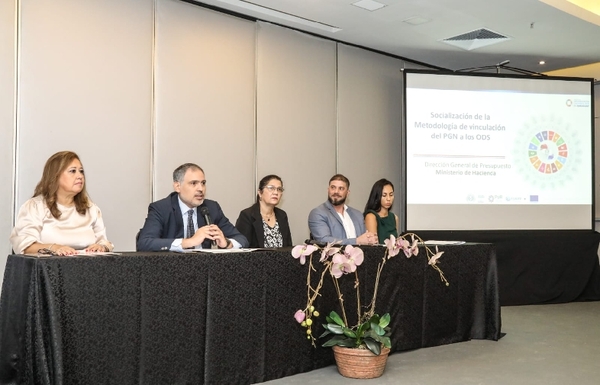 ODS son clave para el desarrollo del presupuesto, sostiene viceministro - .::Agencia IP::.