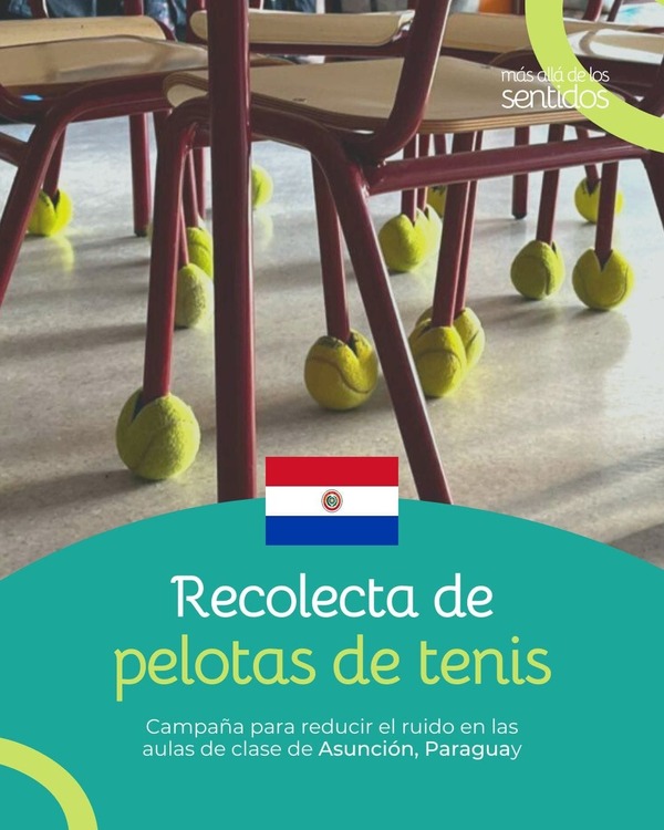 Recolectan pelotas de tenis para ayudar a niños con autismo | 1000 Noticias