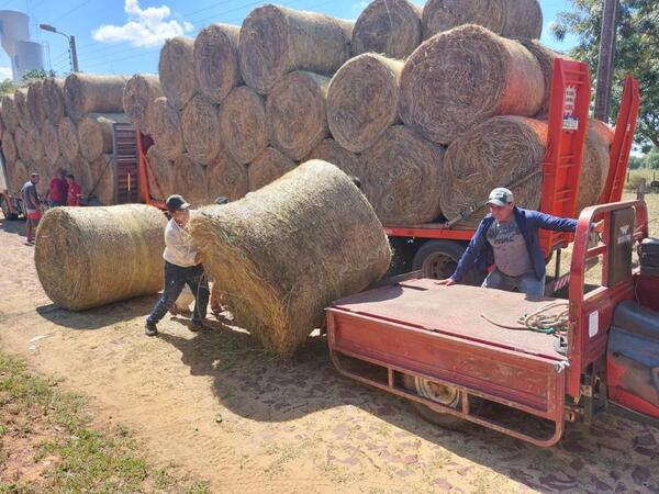Distribuyen fardos de heno para el ganado de productores de Yabebyry