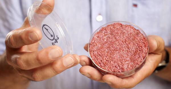 La Nación / En EEUU, científico paraguayo lidera desarrollo de carne de cerdo cultivada