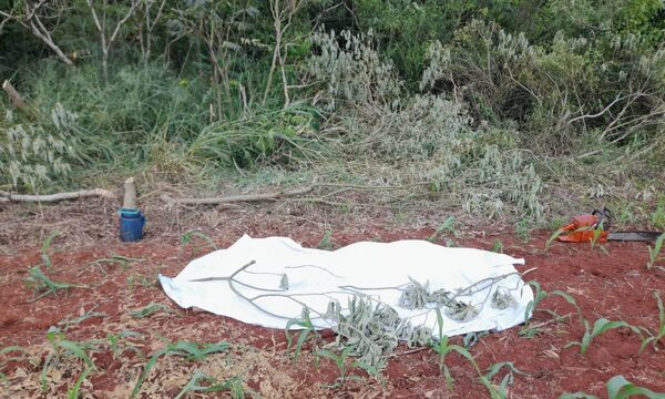 Falleció de un fulminante infarto en medio de una chacra