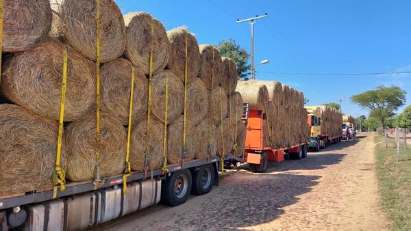 El Gobierno Nacional distribuye fardos de heno para alimentación del ganado de pequeños productores de Yabebyry - El Trueno