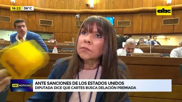 Video: Diputada dice que Cartes busca delación premiada - ABC Noticias - ABC Color