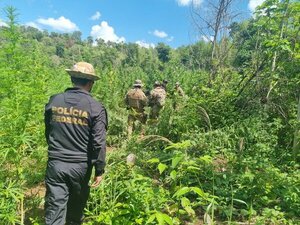 Fuerzas de seguridad de Brasil y Paraguay inician la Fase 36 de la Operación Nueva Alianza
