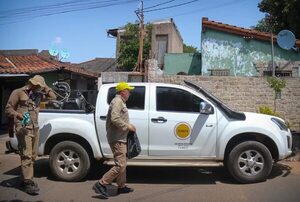 Epidemia de chikunguña: basura y falta de servicios, principales factores de aumento de mosquitos, según Senepa - Nacionales - ABC Color