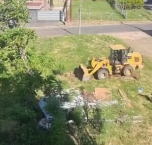 Municipalidad de Asunción arrasó con plantines de árboles porque quiere reubicar a damnificados   - Nacionales - ABC Color