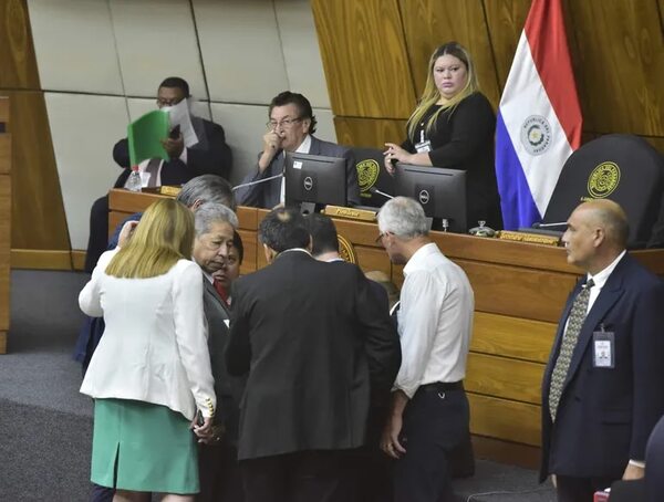 Diputados solo asisten para hacer campaña y no legislan - Política - ABC Color