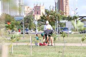 Diario HOY | Pico de calor llega hoy, con máxima de 36ºC