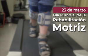 Día Mundial de la Rehabilitación Motriz