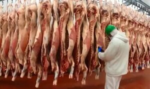 Reducción de consumo de carne en Europa no afectará al Paraguay, afirman desde ONG - Economía - ABC Color