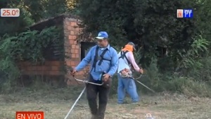 Limpian patios baldíos en Ñemby y amenazan con fuertes multas a propietarios - Noticias Paraguay
