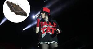 La Nación / La ura de Billie Eilish: pidió a su equipo que fotografíe este “recuerdo”