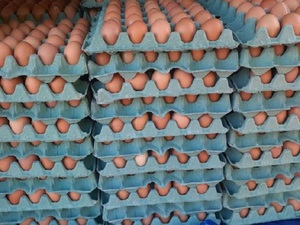 Llega Semana Santa y se nota el despegue de los precios, según Sedeco - La Tribuna