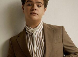 Gate Matarazzo actor de Stranger Things tiene miedo a quedarse sin trabajo