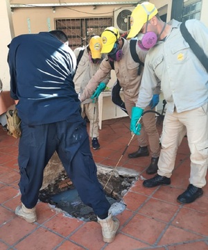 Diario HOY | Seneperos van a la cárcel para combatir a la chikunguña