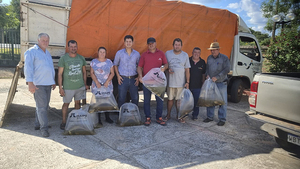 Productores de colonias del Indert en seis departamentos recibieron 28.000 alevines - .::Agencia IP::.