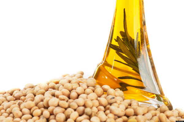 Aceites y grasas de origen vegetal y animal se exportaron por US$ 767 millones | 5Días Weekend | 5Días