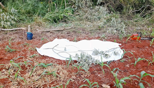 Agricultor murió de un infarto mientras trabajaba en Santa Rita - Noticiero Paraguay