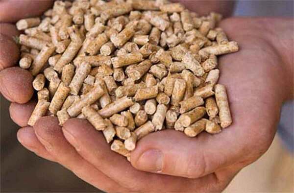 Harinas y pellets de soja se exportaron por valor de US$ 926 millones en 2022 | 5Días Weekend | 5Días