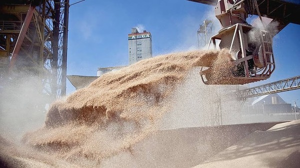 En una zafra difícil, Paraguay exportó soja por US$ 1.398 millones | 5Días Weekend | 5Días