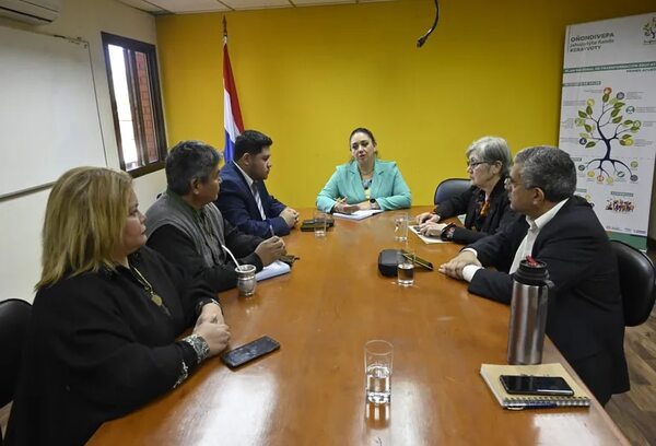 Conec: decreto para su conformación “se está preparando”, dicen - Nacionales - ABC Color