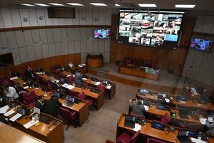 Senado hará denuncia penal contra la exfiscala Quiñónez - Política - ABC Color
