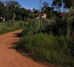 Pobladores de Caacupé denuncian falta de limpieza y exigen intervención de las autoridades - Nacionales - ABC Color