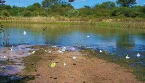 Senado rechaza proyecto que pretendía la explotación del Parque Nacional Médanos del Chaco
