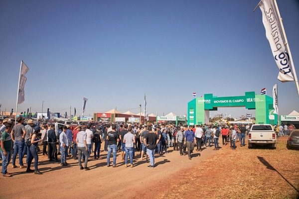 Técnicos evidencian las amplias ventajas de la producción forestal y la siembra directa - Noticde.com