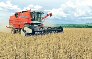 Ley de créditos de carbono debe asegurar la soberanía de Paraguay, dice especialista - Política - ABC Color