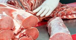La Nación / Paraguayo lidera avance de carne de cerdo cultivada