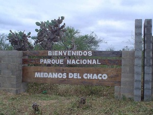 Modificaciones a la Ley de protección del Médanos del Chaco fue rechazada - La Tribuna